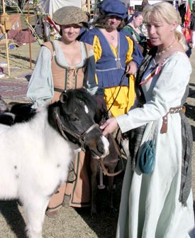 Miniature horse