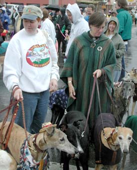 Carol, Mik and hounds
