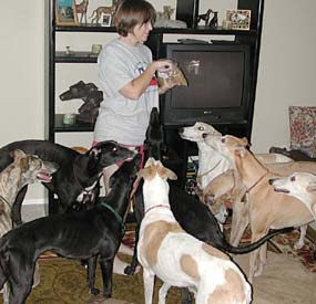 Mik and hounds