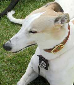 Ruby