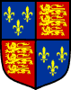 RITP shield